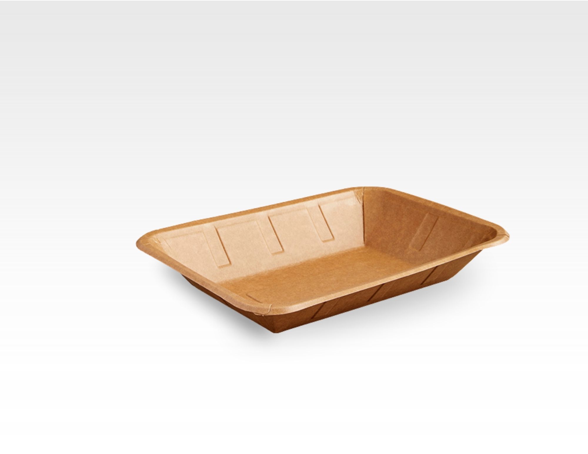 Paper Tray Foam